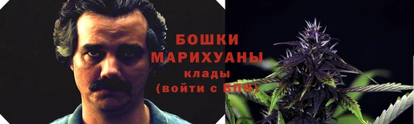 гашик Володарск