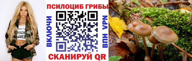 цена наркотик  Каменск-Шахтинский  Галлюциногенные грибы Psilocybe 